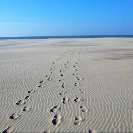 Apartment In With Access *