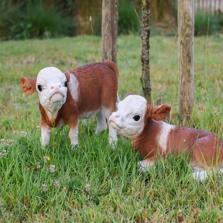 Apartment In With Access Nieuwpoort